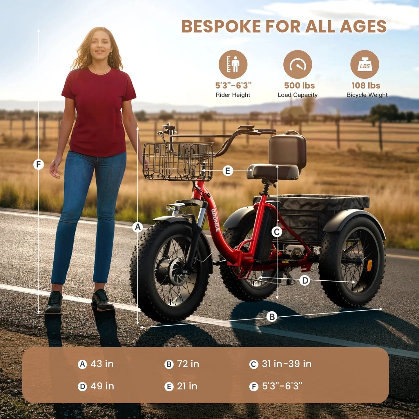 Qronge Electric Bike 960W Peak 36V 13.5Ah Folding Trike