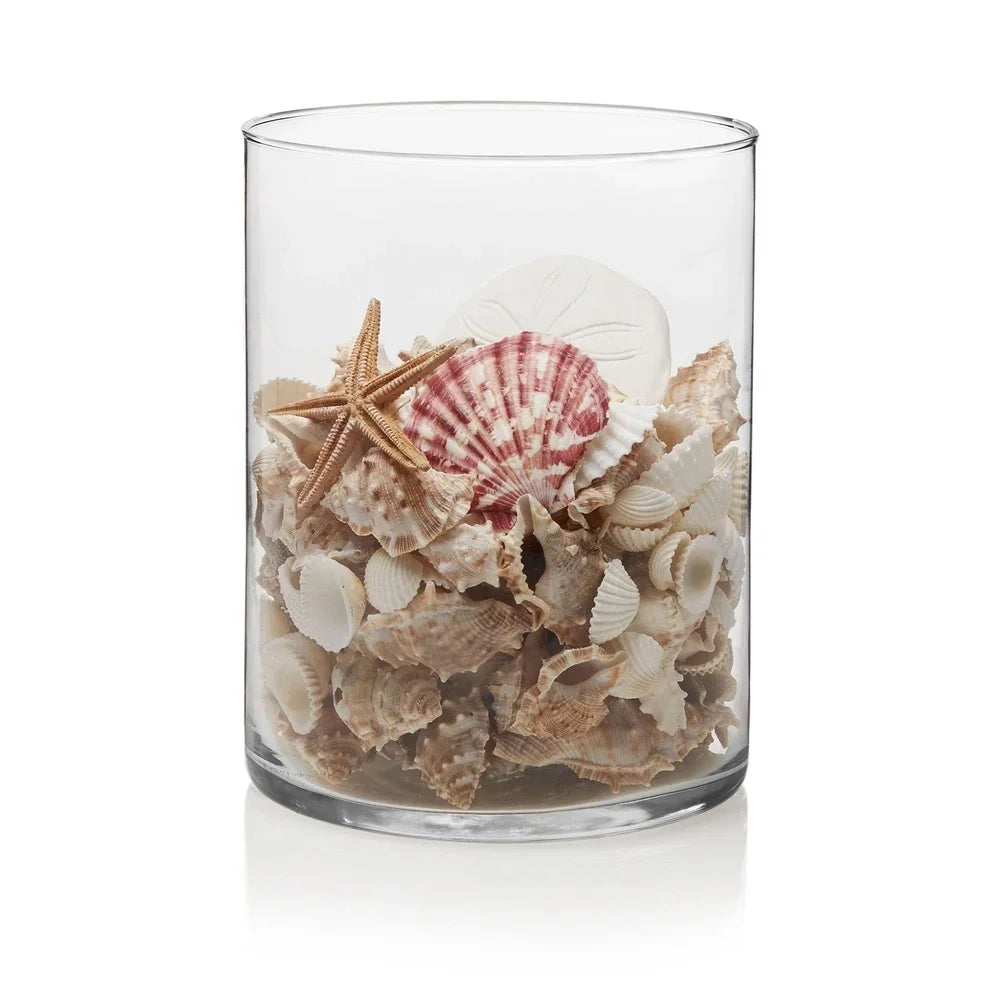 Clear Glass Cylinder Floral Vase Elegant Modern Table Decor